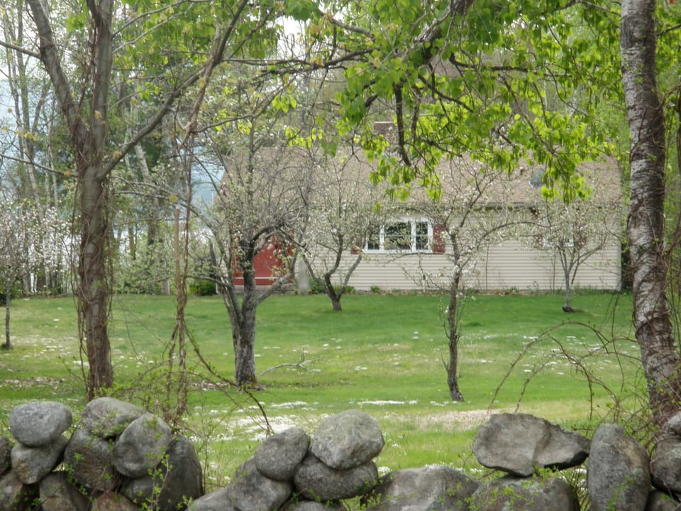 Front of cottage through the apple orchard