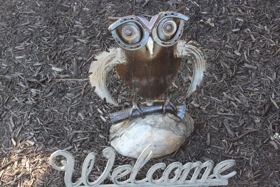 Welcome To Doc's Cabin!