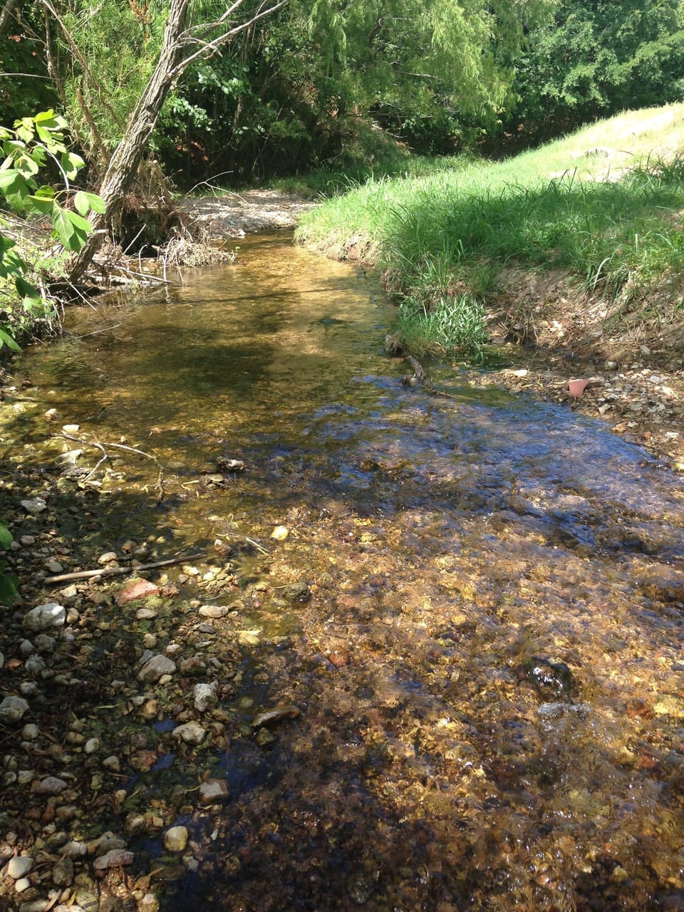 Barons creek.  A constant flowing aquifer fed stream, perfect for the pioneers!