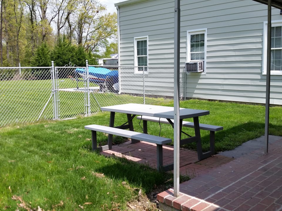 Fenced back yard