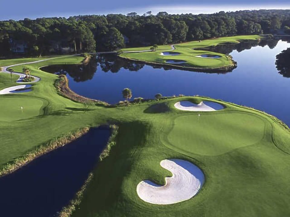 Palmetto Dunes Gem