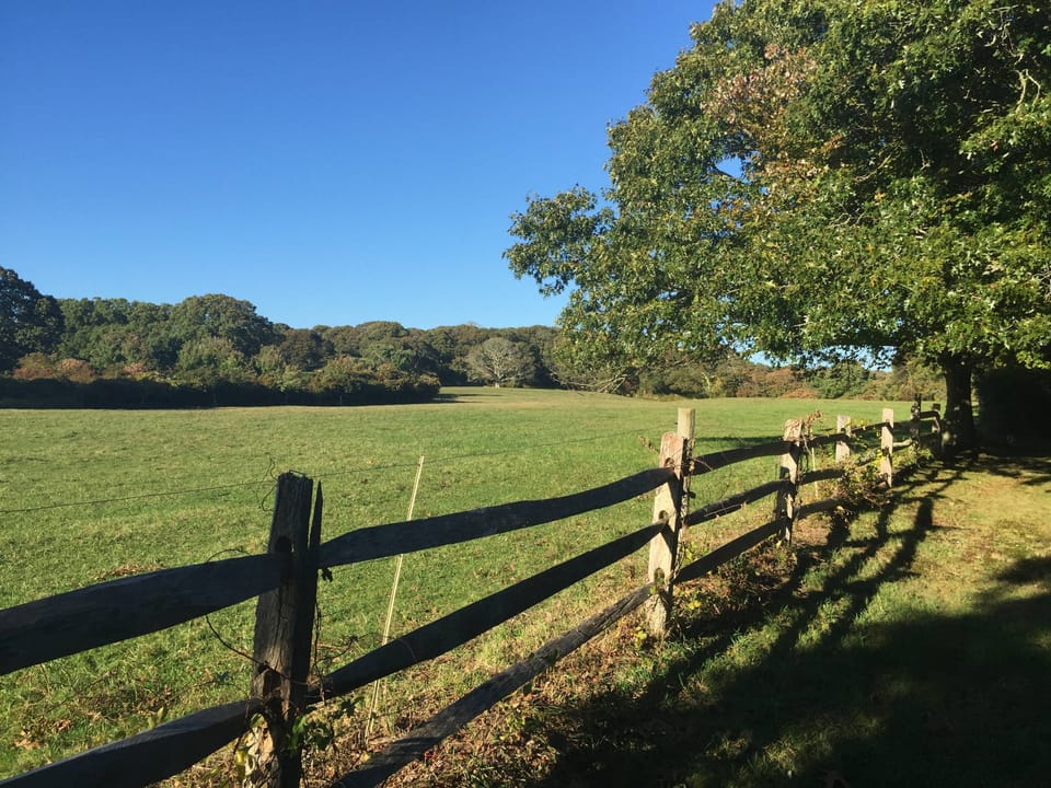 Bucolic view to get lost in