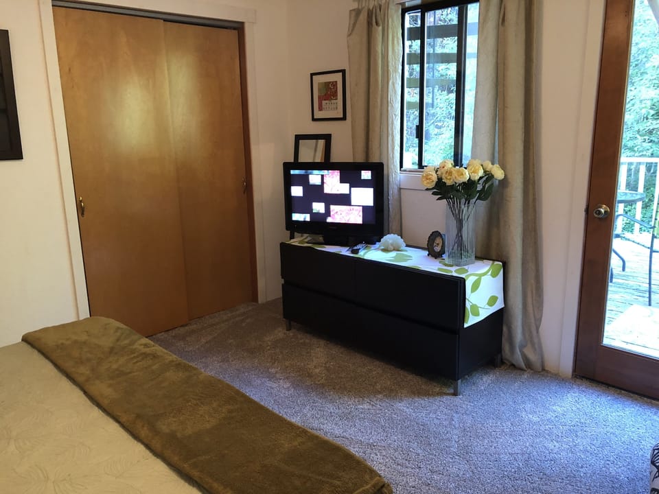 Apple TV, large closet, wake up to view of the forest.