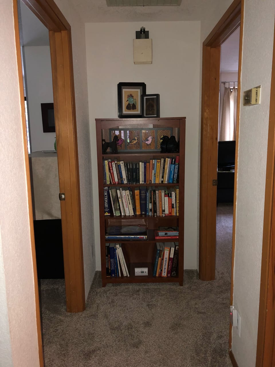 Bookcase in hall with lots of interesting books.