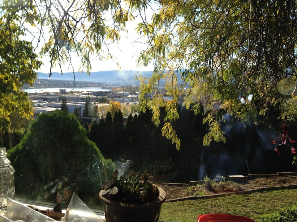 The view from our kitchen window looking south