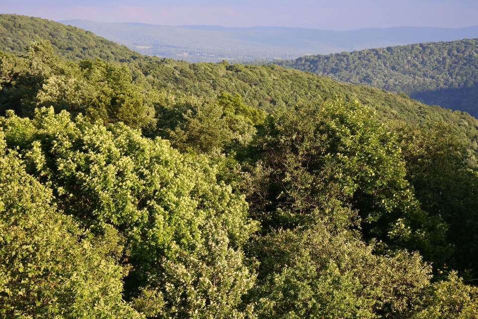 Overlooking Laurel Ridge from the deck - a view which never gets old.