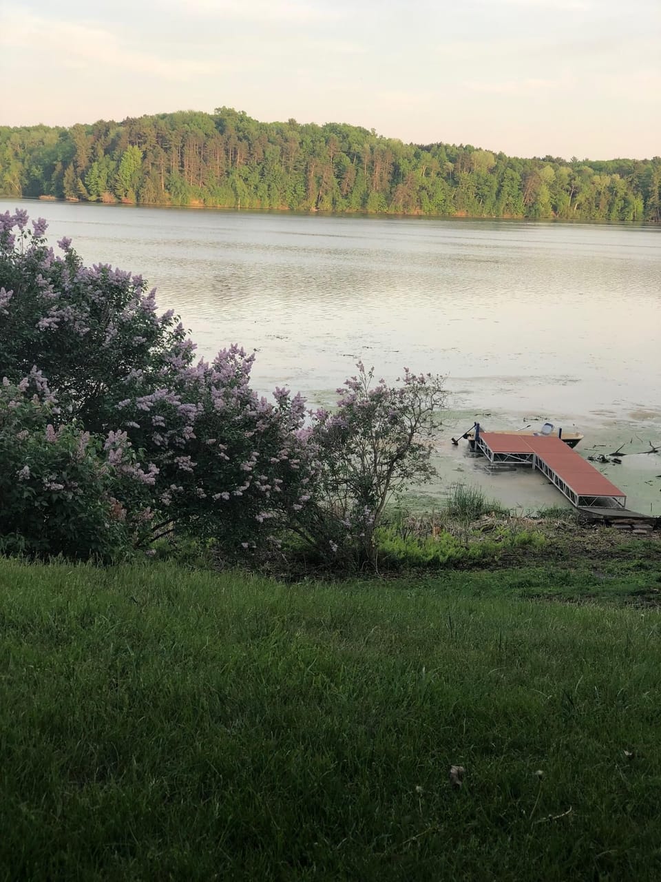 Boat at end of Dock, with spring lilacs blooming in spring