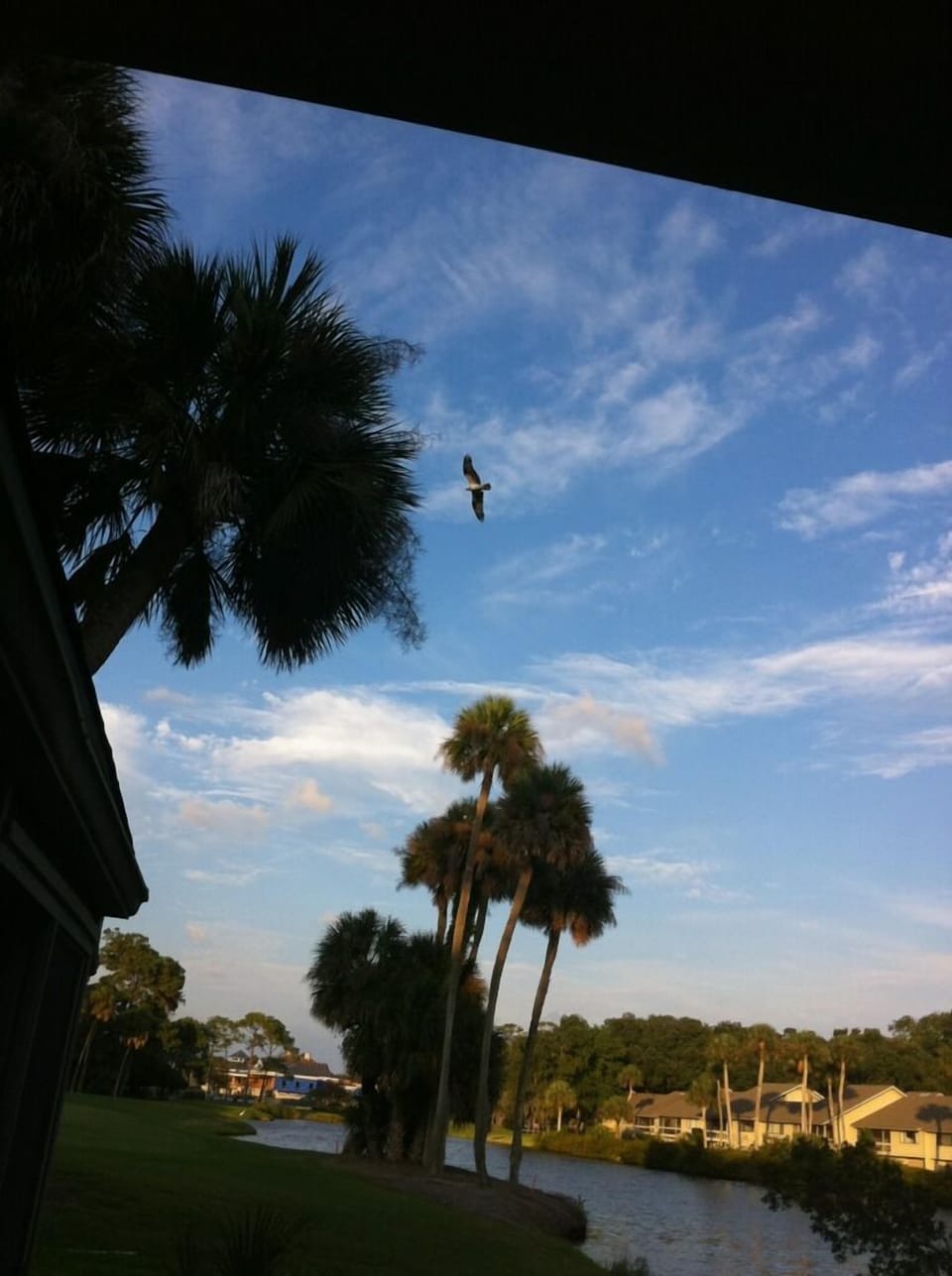 View from property