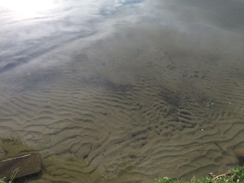 Sand Bottom Lake Front. 