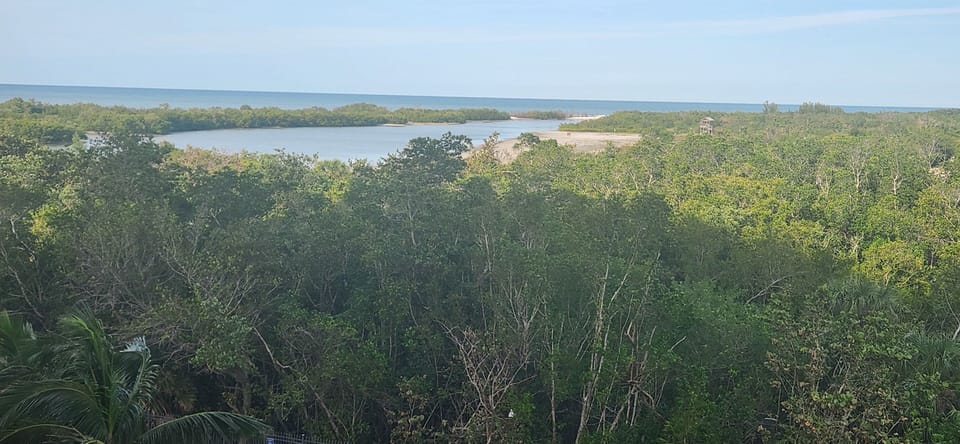 View of the beach from our balcony.