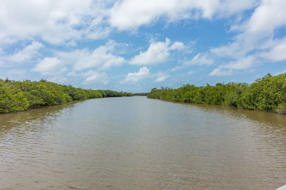 Clam Bayou and amazing kayaking!!!
