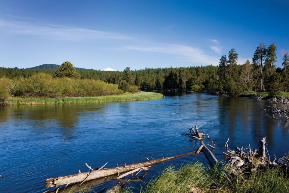 Deschutes River near the Benham Falls trail head at Lava Lands 