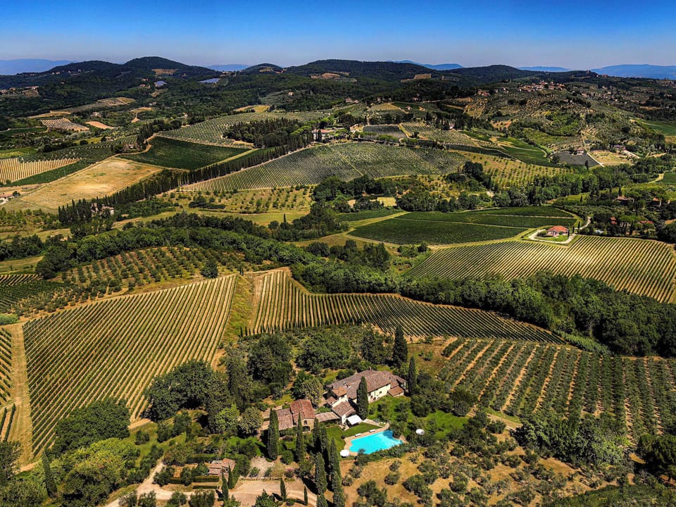 Property Aerial View