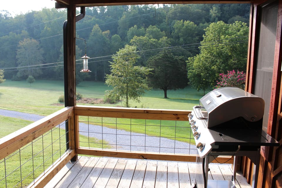 Gas grill