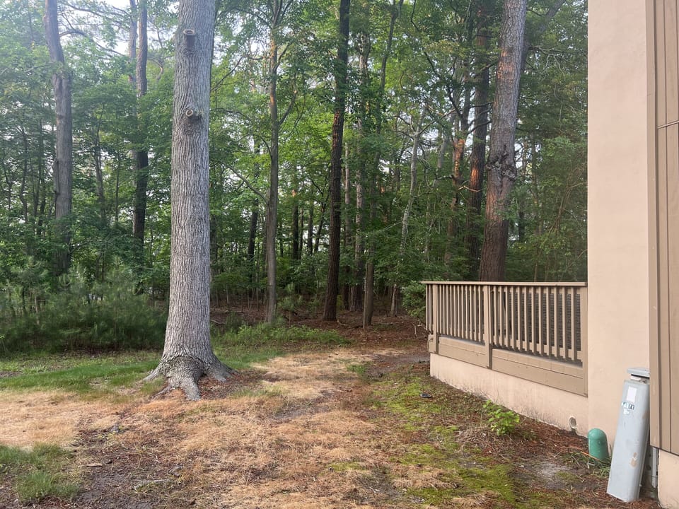 Side/back yard