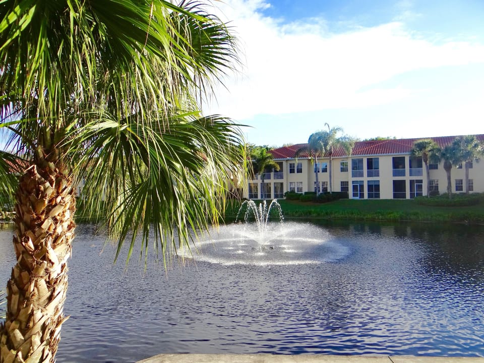 View from living room