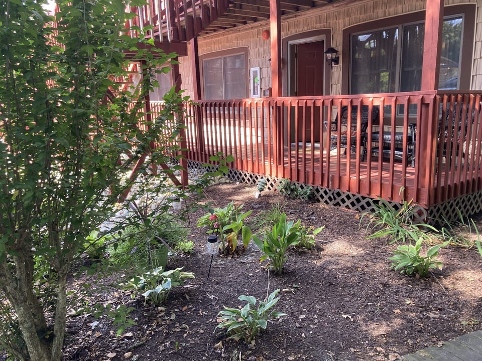Landscaping in front of condo