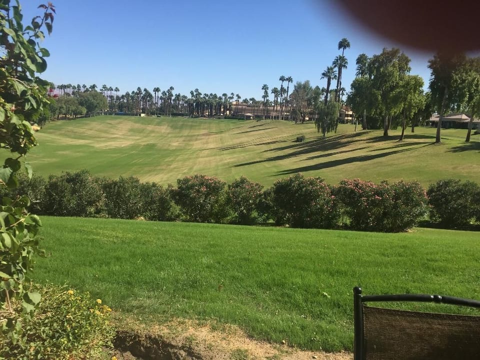 View from patio