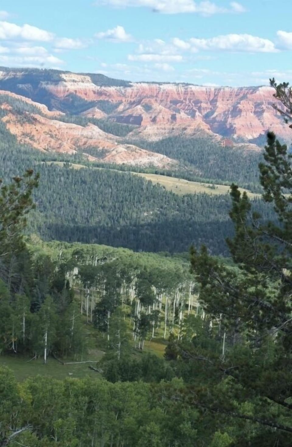 View of Cedar Breaks.