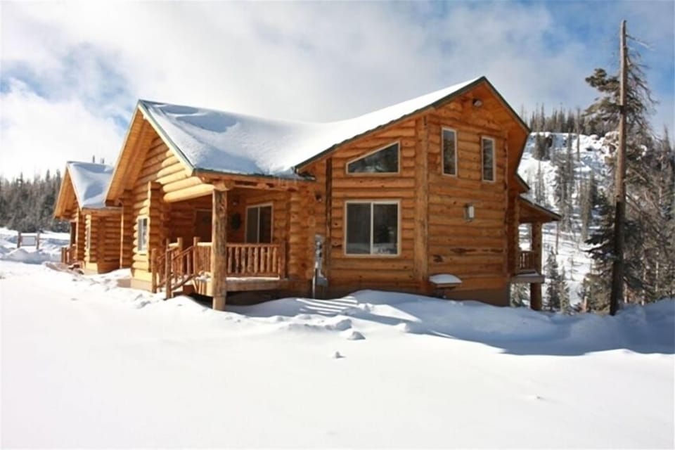 The Front View from Bristlecone Lane