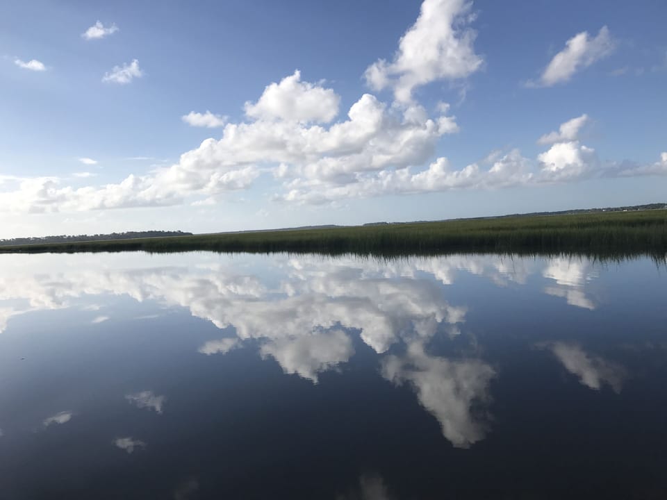 Paddle on the marsh with Kayak Amelia. 