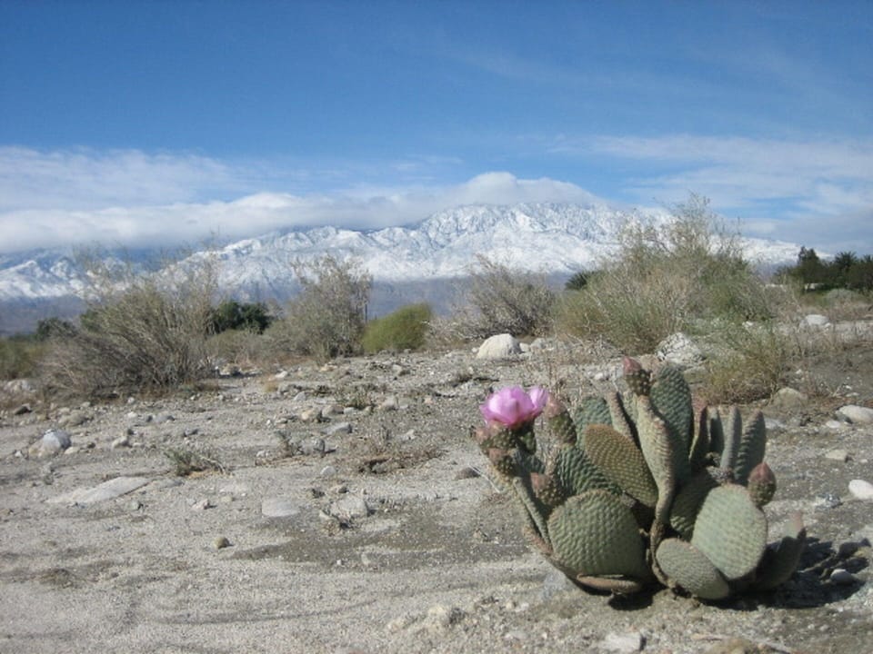 Where to desert meets the mountains!