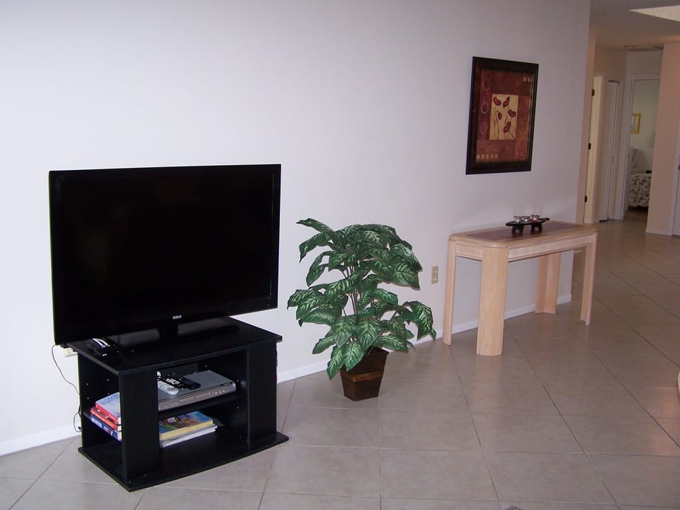 Living Room TV