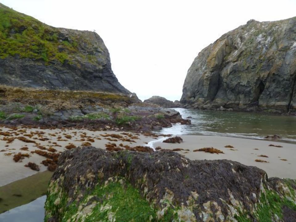 Go tide pooling at low tide!