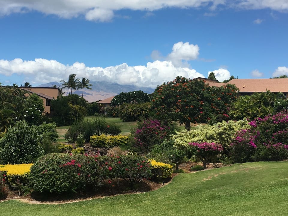 View of the West Maui Mountains and the lush gully from the lanai.