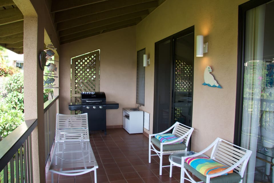 Full lanai, accessible off of the master suite and living room.
