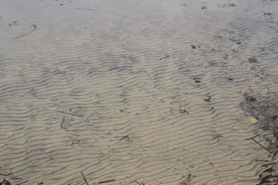 Excellent water quality. Sugar Sand bottom. Great for swimming.