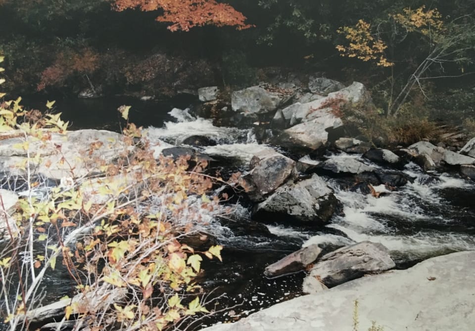 The perfect mountain setting. The peace and quiet will surround you. 