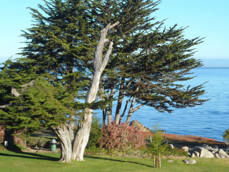 View from living room