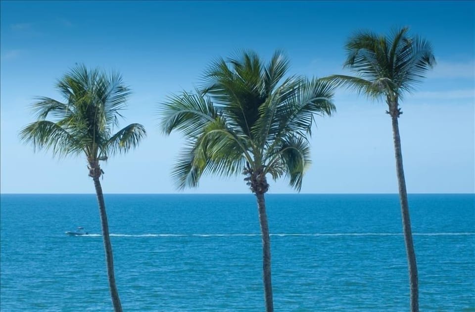 The Jewel on the Gulf awaits you!