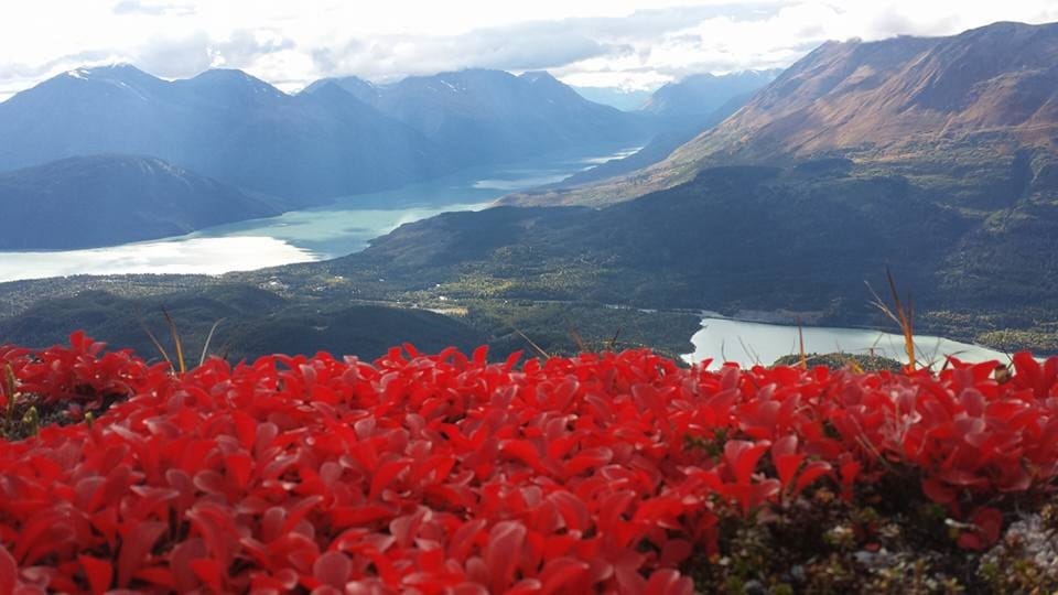 Looking down on the house from Crown Point mountain.