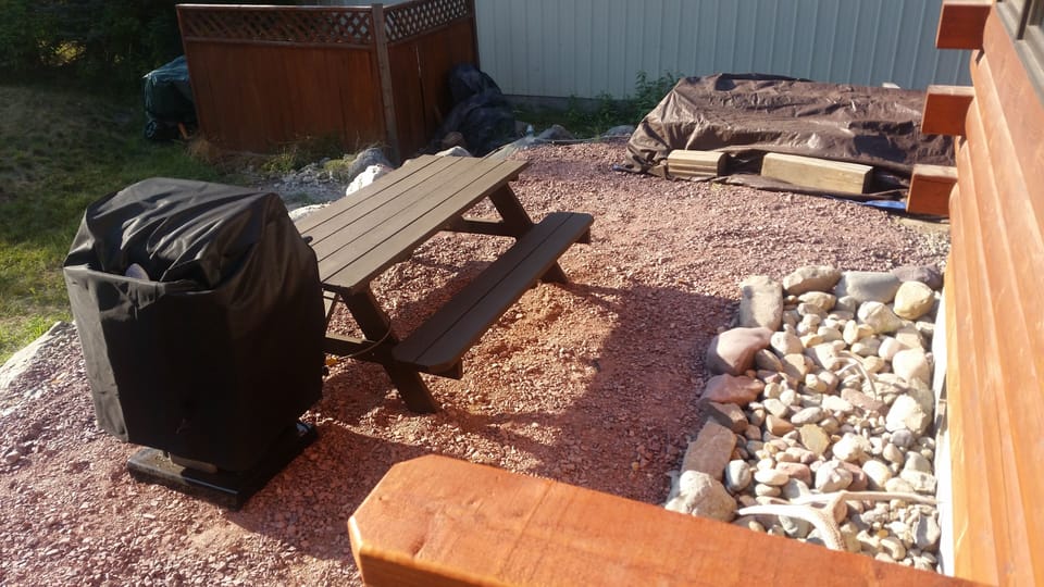 A backyard view