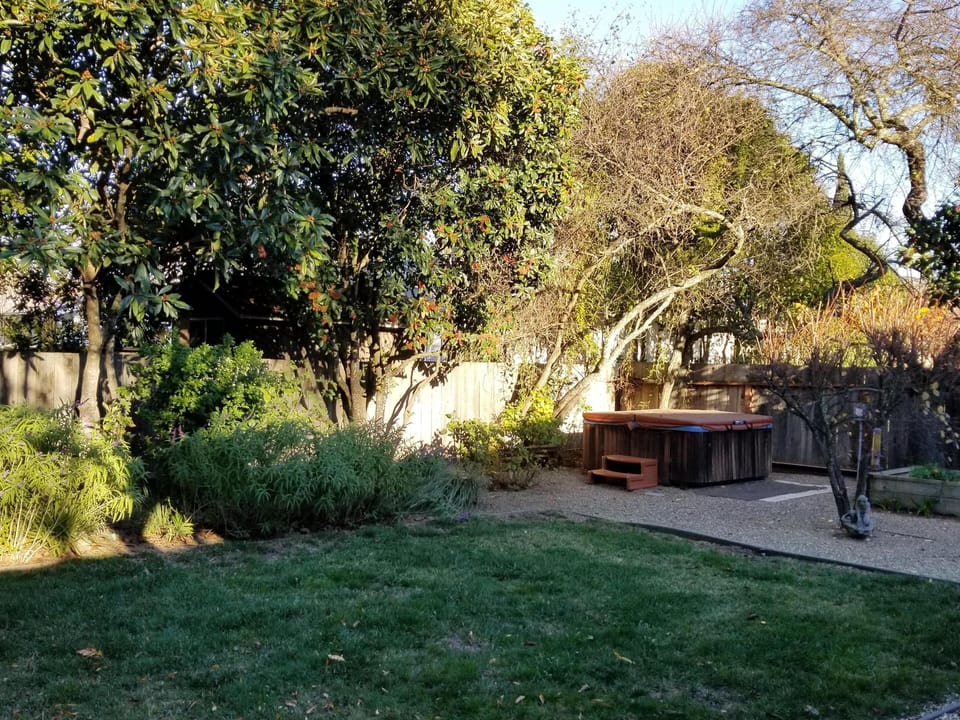 Hot tub in the backyard