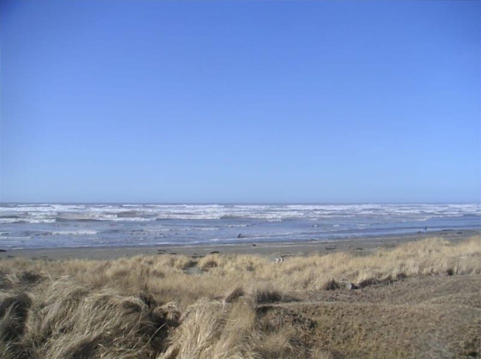 View from the deck