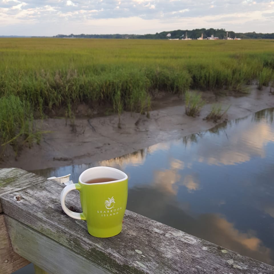 Low tide on Horseshoe Creek - so serene.