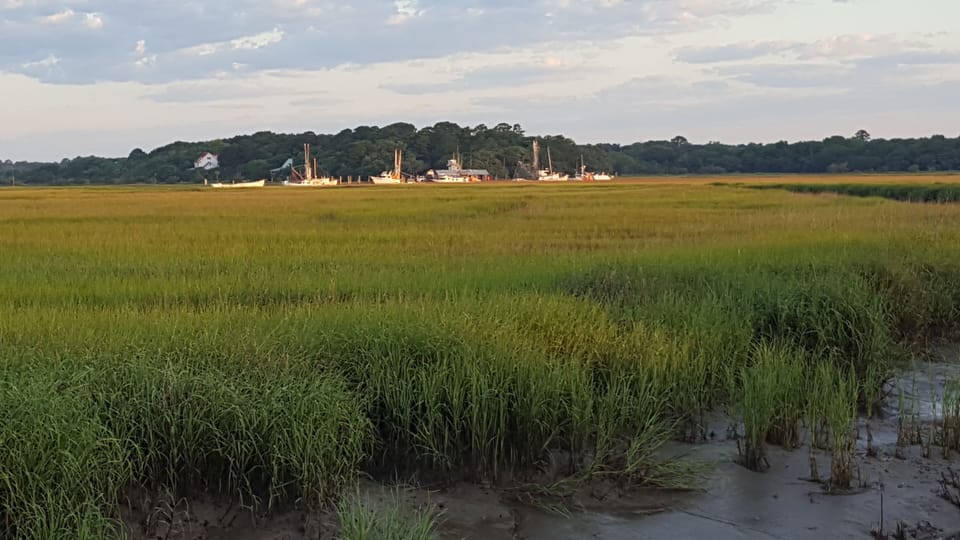 Lovely view of the shrimp boats at Cherry Point.  Fresh seafood from the docks!