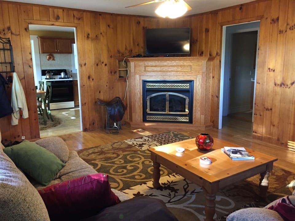Pine paneled living room with two reclining sofas