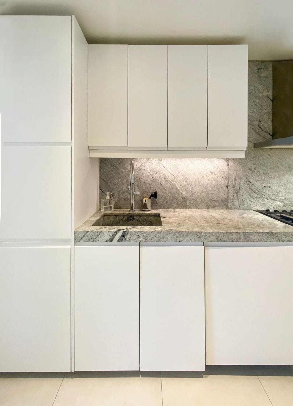 Dishwasher hidden under the counter