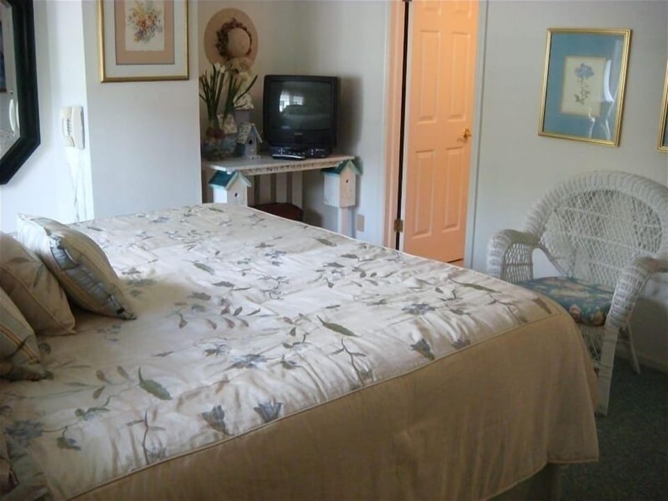 Master Bedroom with King Size Bed