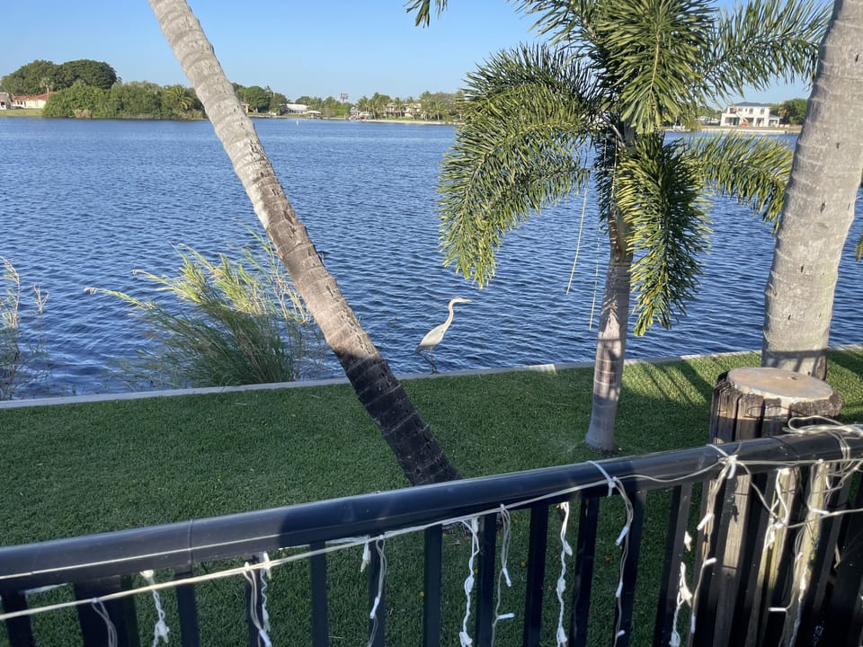 CLEAN WATER-COVERED BOAT DOCK- BRING  YOUR OWN-RENT HERE-GREAT TUBING & FISHING 