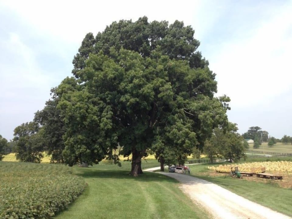 Rural Bourbon county