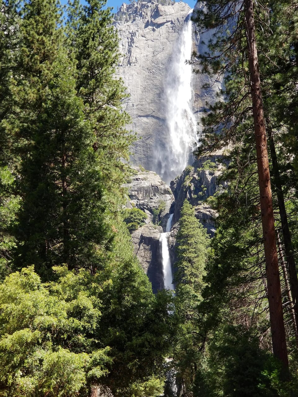 Yosemite Falls June 2018