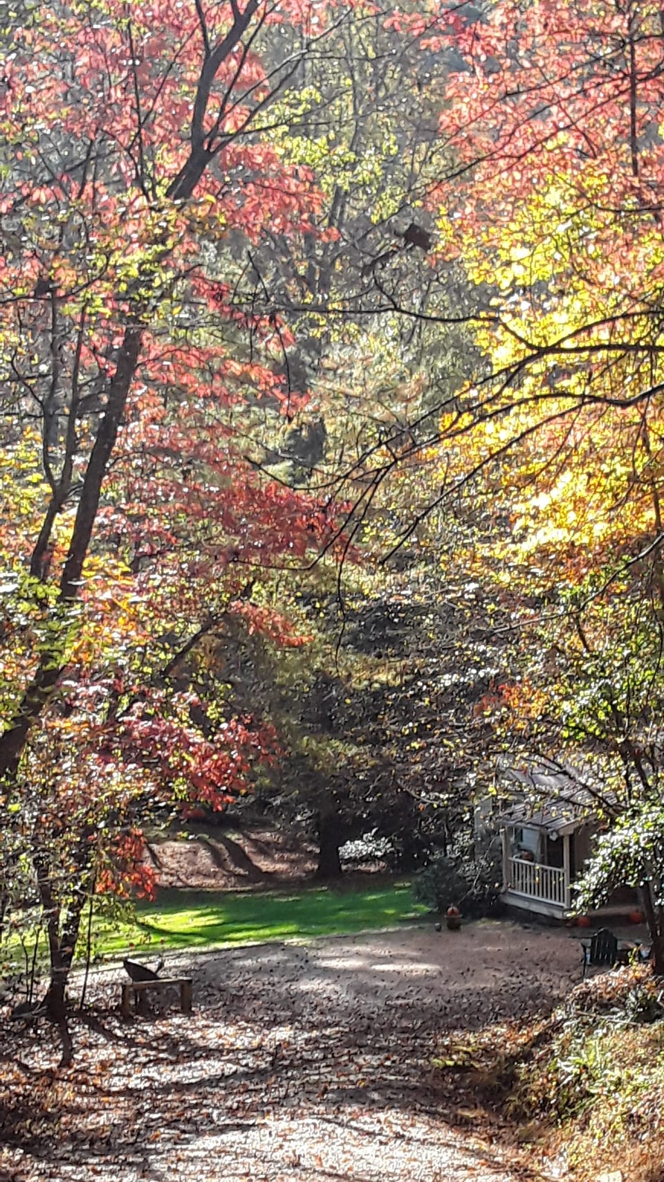 Coming down the driveway, you get your first glimpse of the cottage.