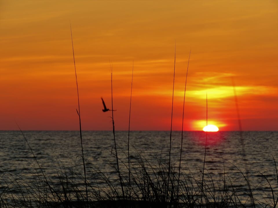 Come and relax, peace and tranquility is wait for you.