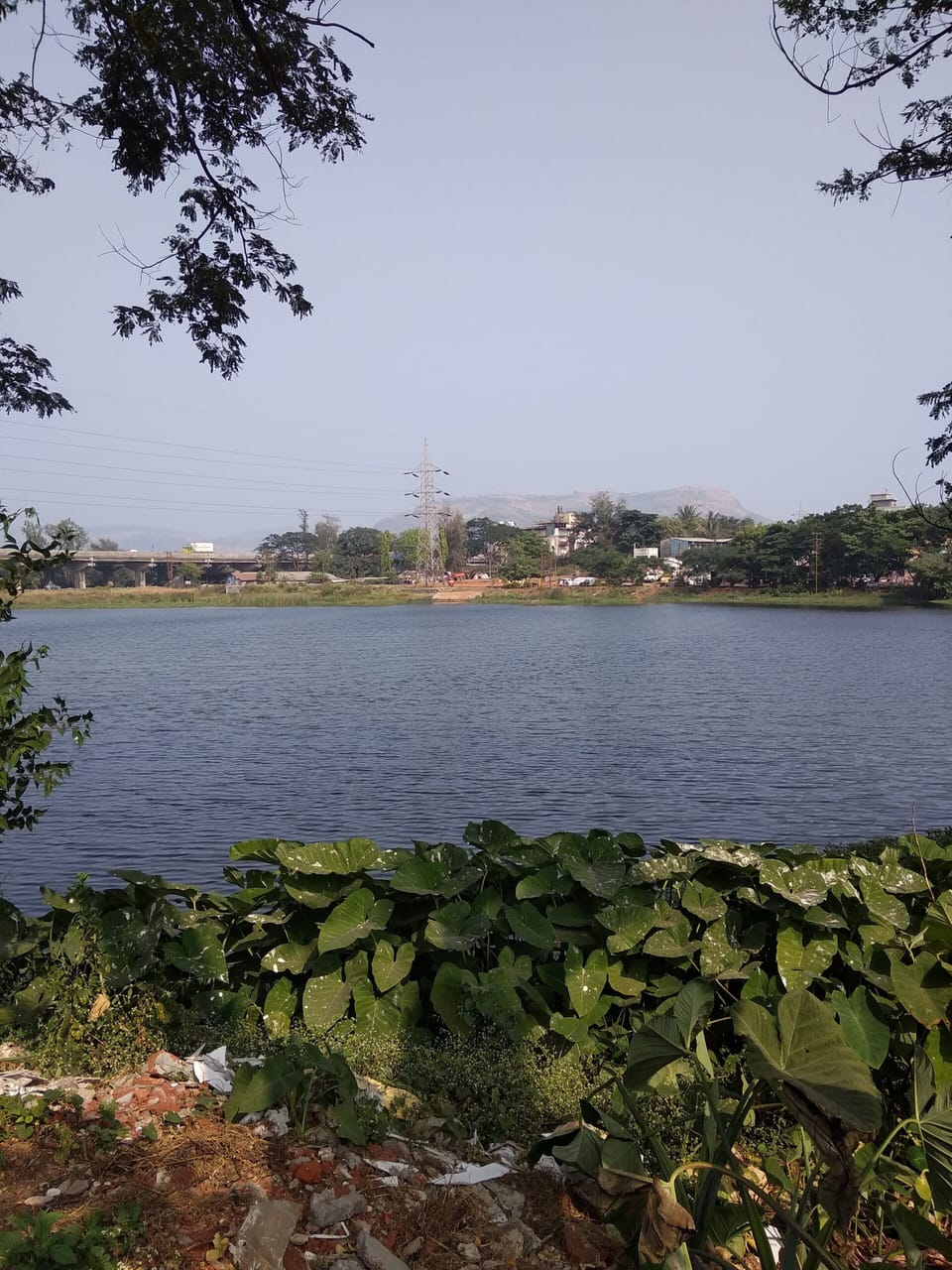 valvan pond- sorrounding