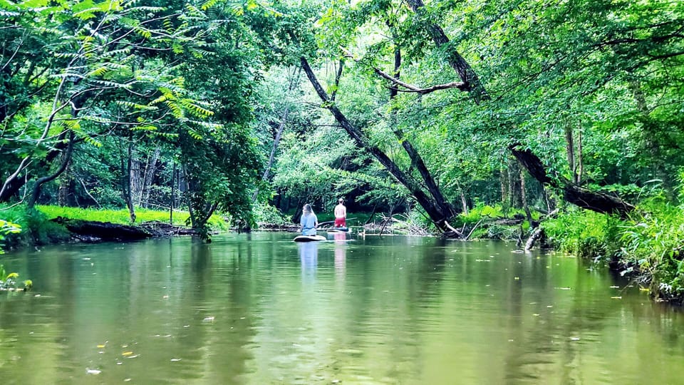 Paddleboarding in our cove is heavenly!